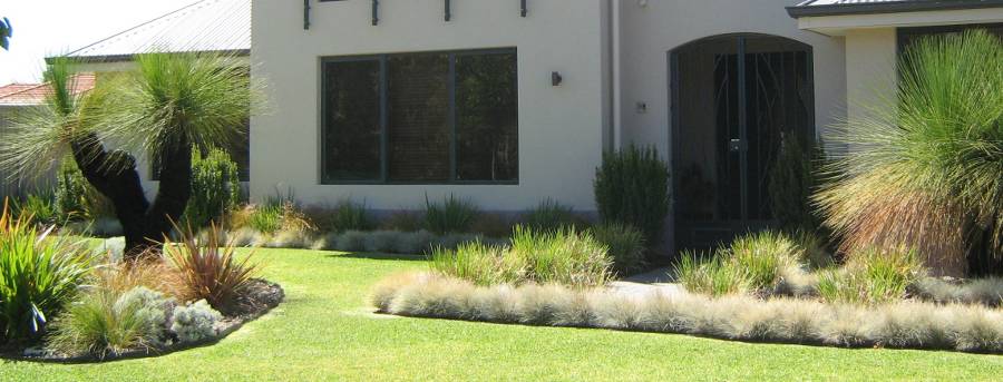 Grasstrees Australia | Premium Provider of Quality Native 
